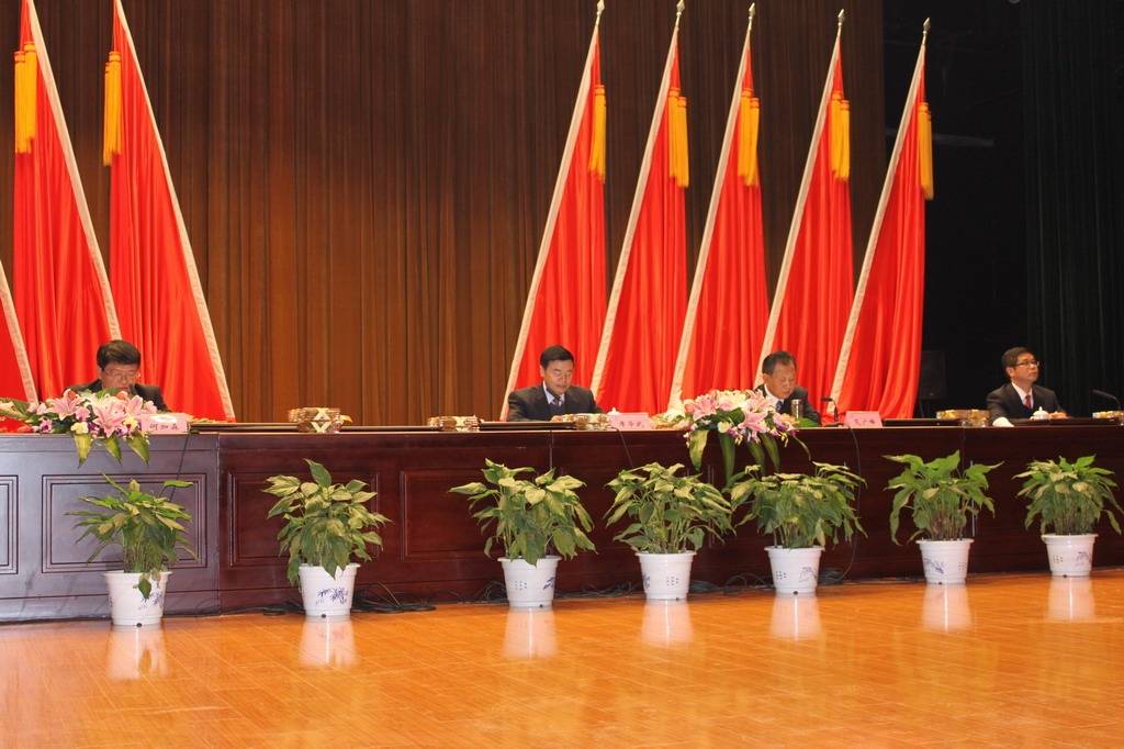 江蘇省金陵建工集團生產(chǎn)工作暨2011年總結表彰大會